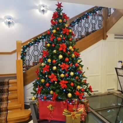 Rozsvícení vánočního stromu na Zámečku v Petrovicích